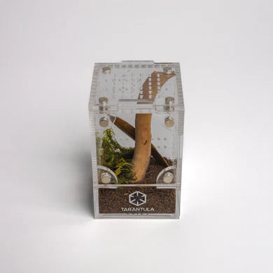 Treehouse Mini