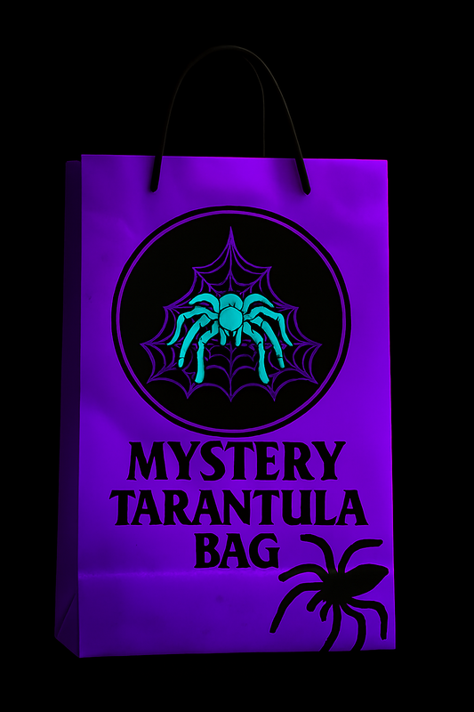 Tarantula Mystery Bag