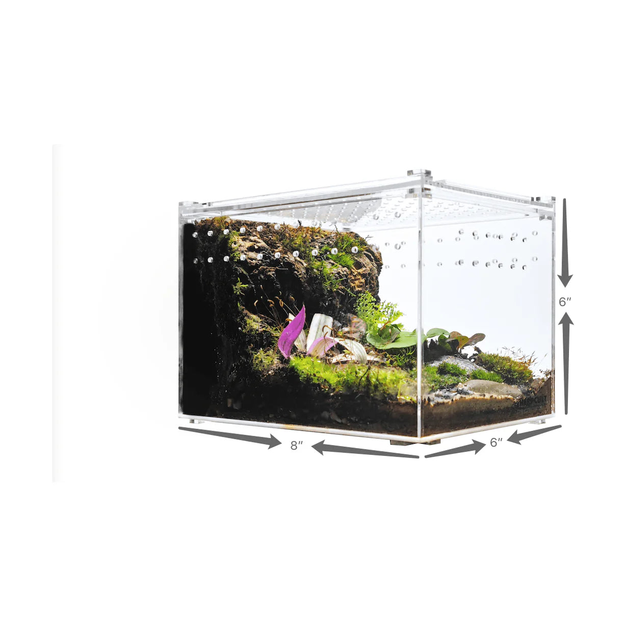 8" x 6" x 6" HerpCult Acrylic Terrarium Enclosure with Magnetic Lid Enclosure for Reptiles Medium Flat