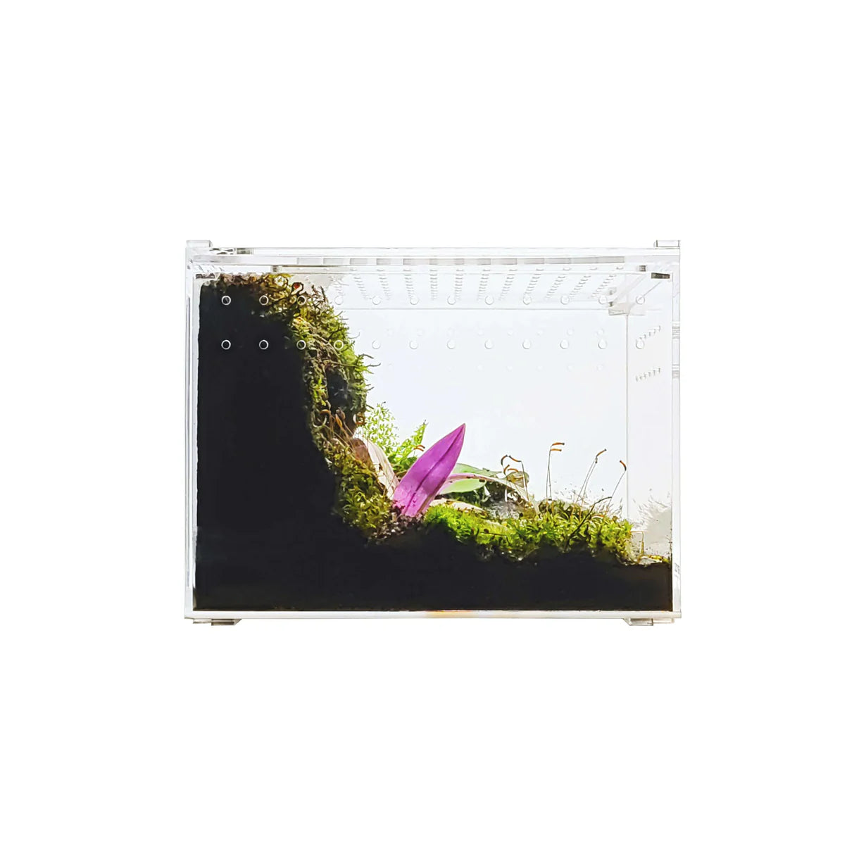 8" x 6" x 6" HerpCult Acrylic Terrarium Enclosure with Magnetic Lid Enclosure for Reptiles Medium Flat