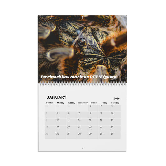Tarantula Addict Calendar (2026)